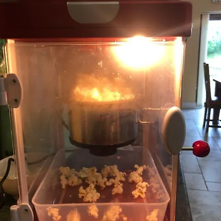 民宿 Ballyhourode House